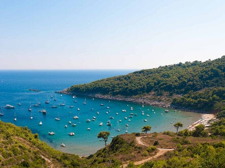 Lokrum Island nature reserve by boat from Dubrovnik — pine-covered islet opposite the Old Town walls